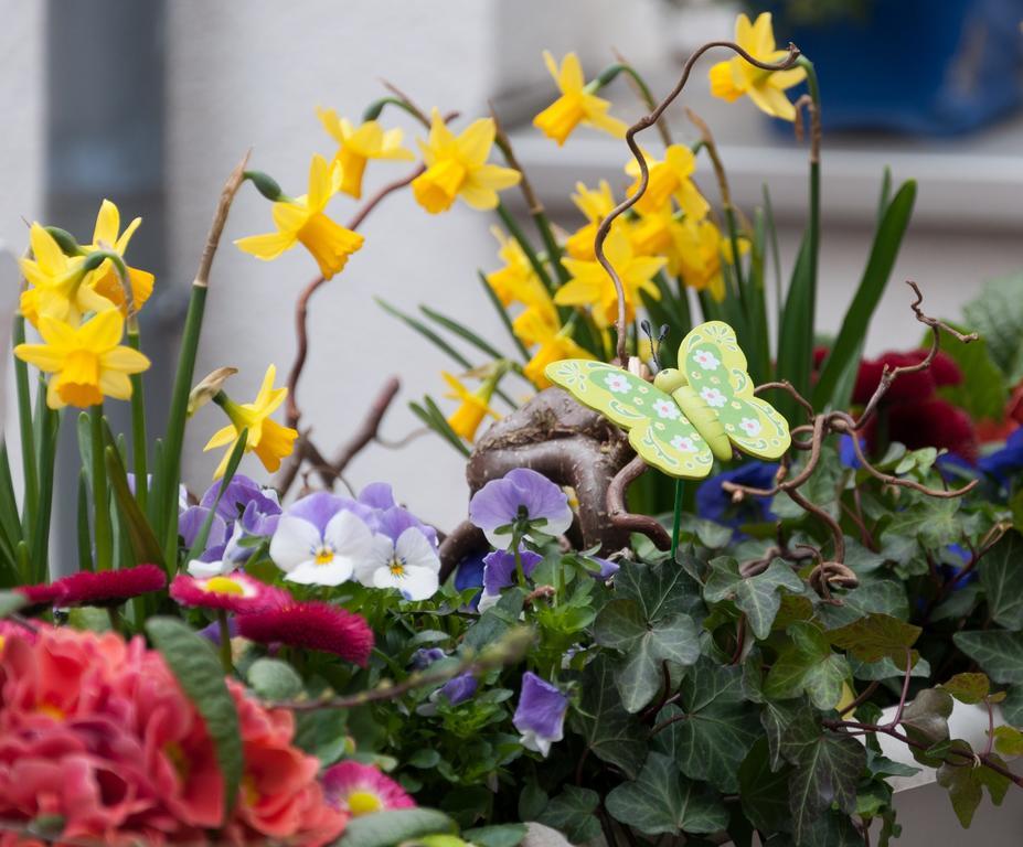 Garni Hotel Drei Lilien Wiesbaden Zewnętrze zdjęcie